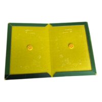 Capcana (Carton cu Lipici) stil Carte pentru Soareci, Sobolani si insecte