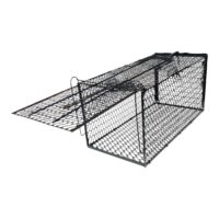 Capcana lipici soareci 10buc, Cursa mare sobolani 2buc