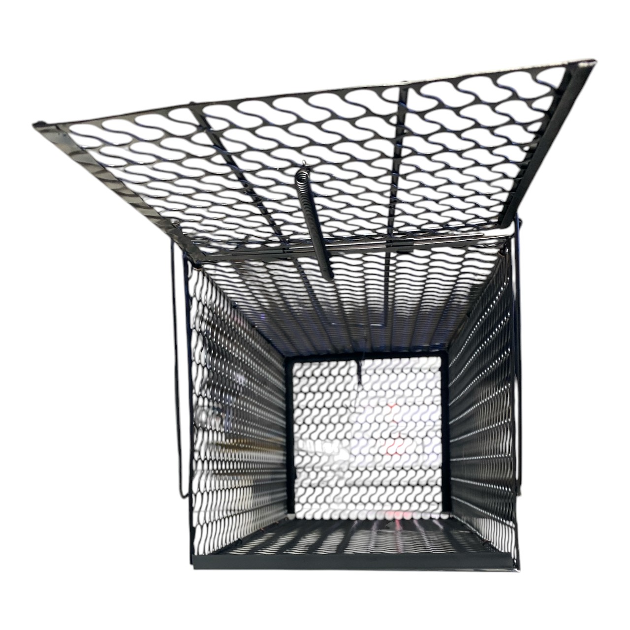 Cursa de prins sobolani (Capcana) 28 cm, 5 bucati - imagine 5