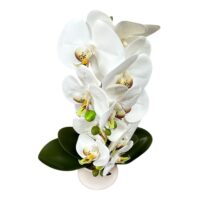 Orhidee Artificiala (Alb-Galben) cu Aspect Natural in Ghiveci, 50 cm