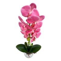 Orhidee Artificiala in Ghiveci (Roz-Alb), 1 bucata