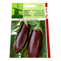 Seminte de vinete olandeze halflange violette, plic 1 gram