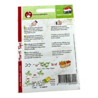 Seminte de vinete olandeze halflange violette, plic 1 gram