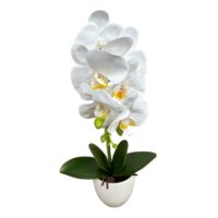 Orhidee Artificiala 1 Fir in Ghiveci, Alb-Galbena, 50 cm
