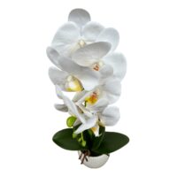 Orhidee Artificiala 1 Fir in Ghiveci, Alb-Galbena, 50 cm