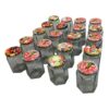 Borcan sticla, hexagonal cu capac, 280 ml, set 20 bucati