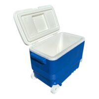 Lada frigorifica cu roti, 45 L, albastra