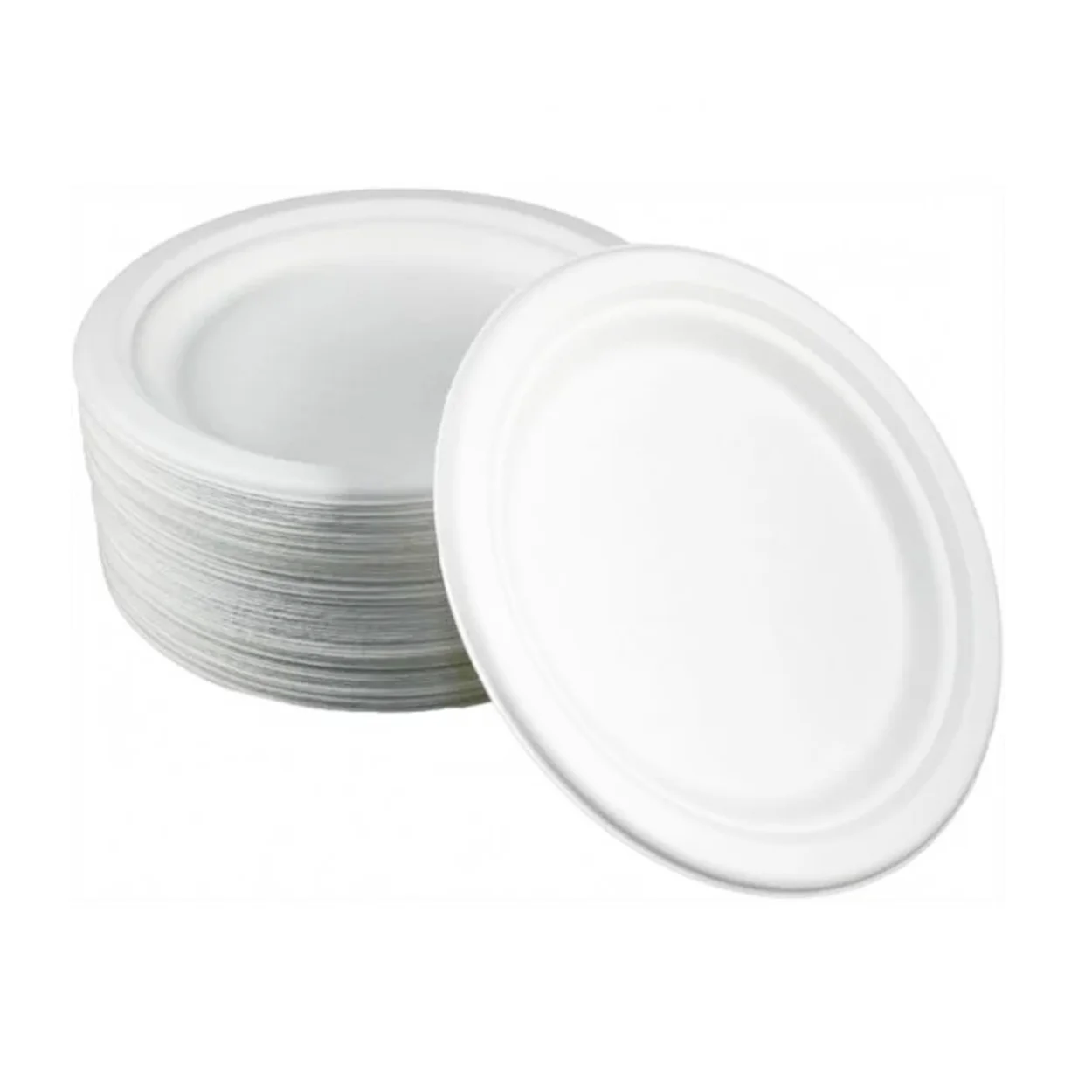 farfurii biodegradabile de unica folosinta 22 cm 50 bucati 2