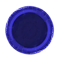 farfurii din hartie de unica folosinta 10 bucati 2
