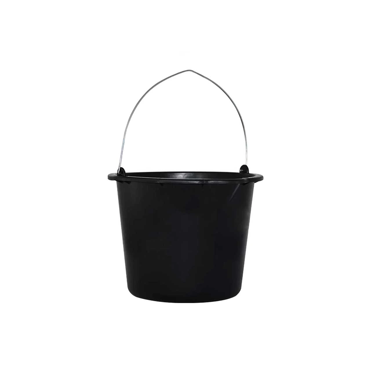 galeata gradata 12 l 1