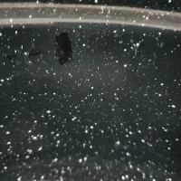 resigilat cratita email 12 l neagra 2