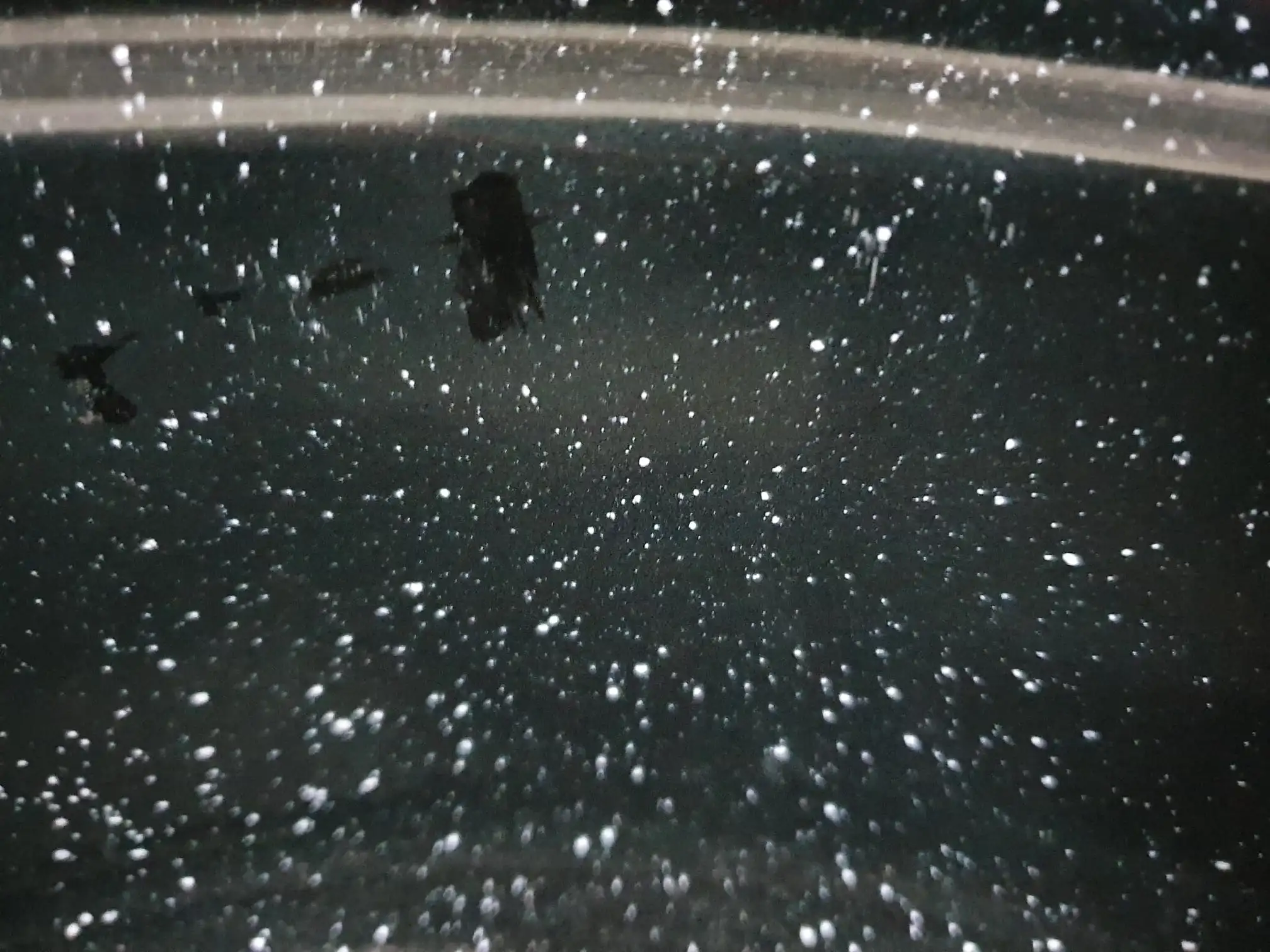 resigilat cratita email 12 l neagra 2