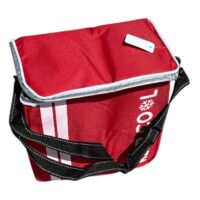 Geanta Termica (Termoizolanta ) Mica, culori diferite